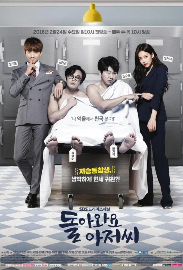 Возвращайтесь, мистер (2016)